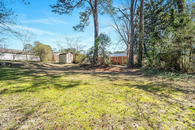 view of yard with a storage shed and an outbuilding