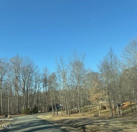 Listing photo 3 for LOT4 Forrestwood Dr, Roxboro NC 27573