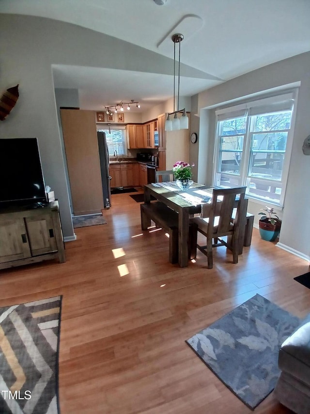 dining room with light wood-type flooring, baseboards, and a healthy amount of sunlight