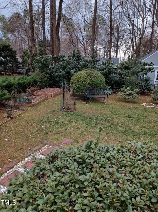 view of yard with a garden