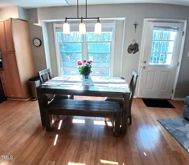 dining room featuring light wood finished floors