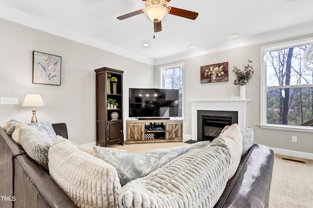 carpeted living area with a wealth of natural light, visible vents, and ornamental molding