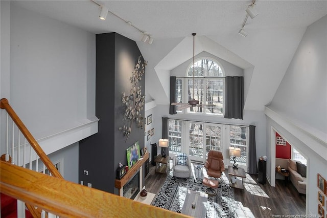 interior space featuring a healthy amount of sunlight, rail lighting, high vaulted ceiling, and wood finished floors