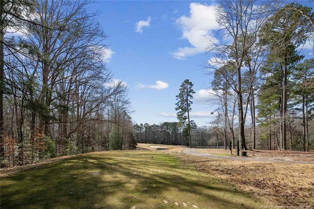 view of yard featuring a forest view