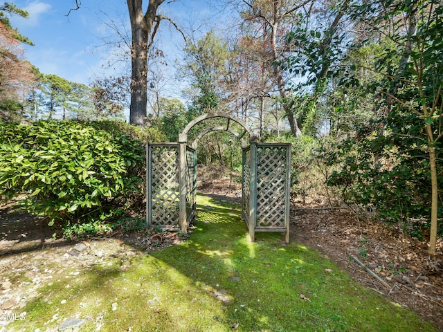 view of yard featuring a gate