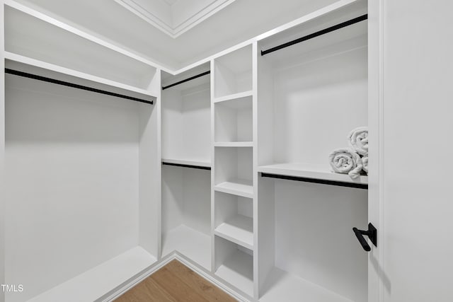 walk in closet featuring wood finished floors