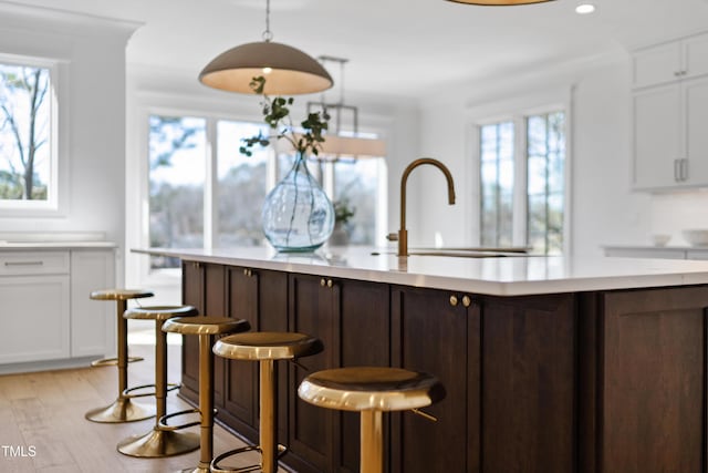 kitchen featuring light wood-type flooring, a sink, white cabinetry, light countertops, and dark brown cabinets