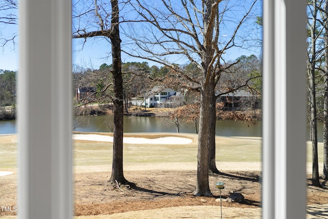 view of water feature