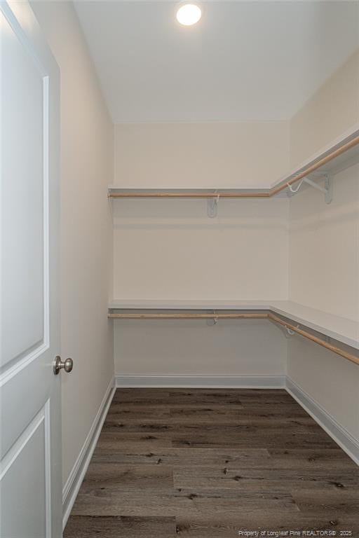 walk in closet with dark wood-type flooring