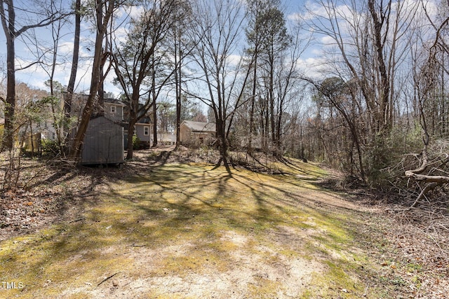 view of yard featuring an outbuilding and a shed