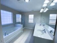 full bathroom with double vanity, plenty of natural light, a bath, and a sink