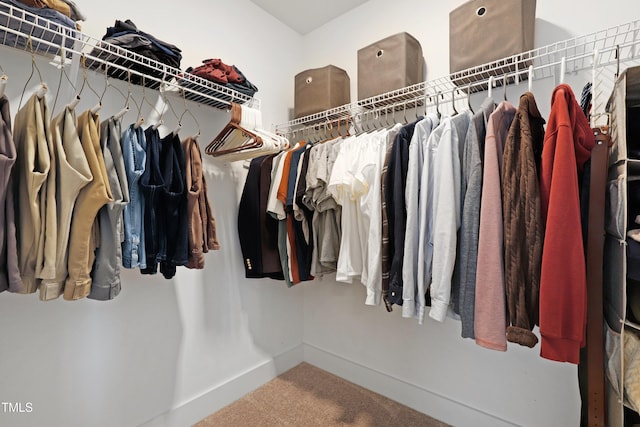 walk in closet featuring carpet floors