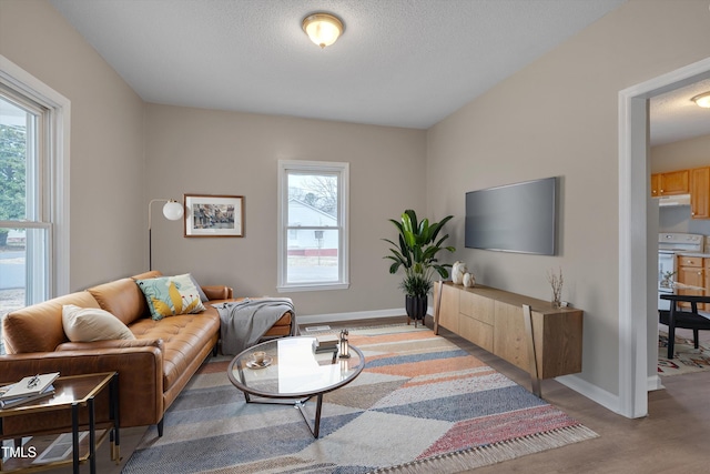 living area with plenty of natural light, wood finished floors, and baseboards