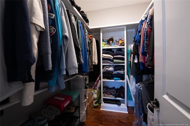 walk in closet featuring wood finished floors