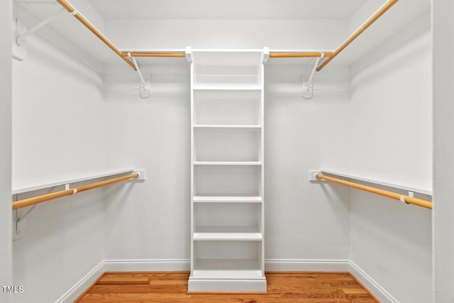 spacious closet featuring wood finished floors