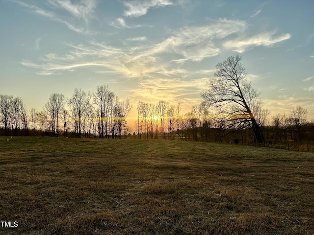 Listing photo 3 for 10.5AC Jones Rd, Hurdle Mills NC 27541