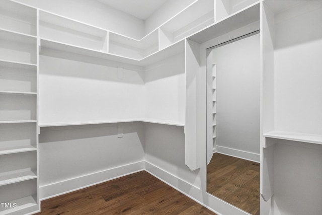 spacious closet featuring dark wood finished floors