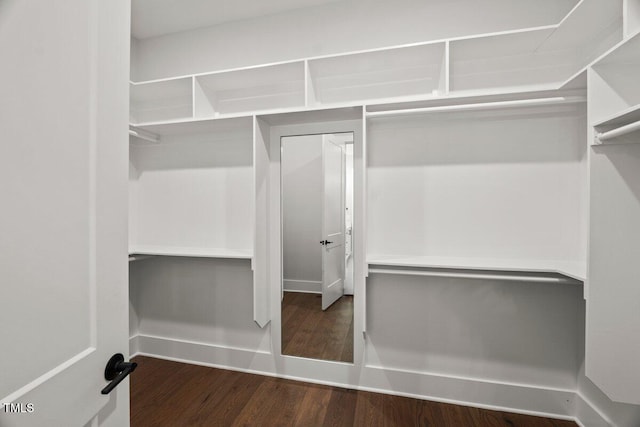 9004 Penny Rd, Raleigh, NC 27606 - walk in closet featuring wood finished floors