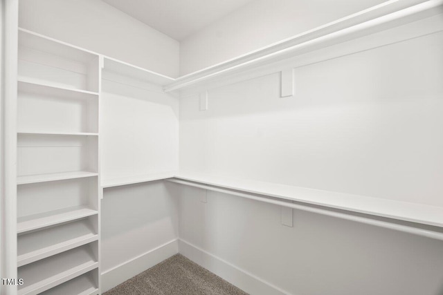 9004 Penny Rd, Raleigh, NC 27606 - walk in closet featuring carpet floors