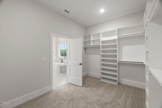 9004 Penny Rd, Raleigh, NC 27606 - spacious closet with carpet flooring