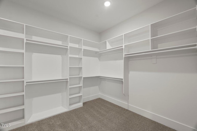 9004 Penny Rd, Raleigh, NC 27606 - walk in closet with dark carpet