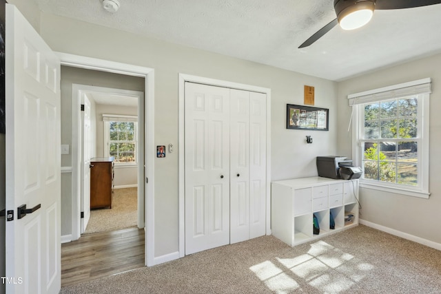 interior space featuring ceiling fan, baseboards, carpet flooring, a closet, and a textured ceiling