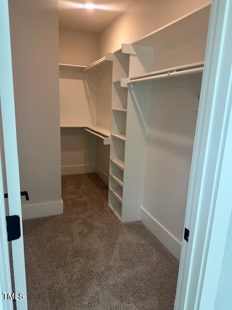 9000 Penny Rd, Raleigh, NC 27606 - photo 20