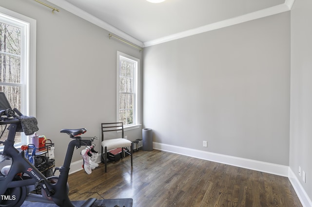 exercise room featuring dark wood-type flooring, baseboards, and ornamental molding