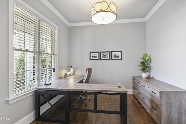 office space with dark wood-style floors, baseboards, and ornamental molding