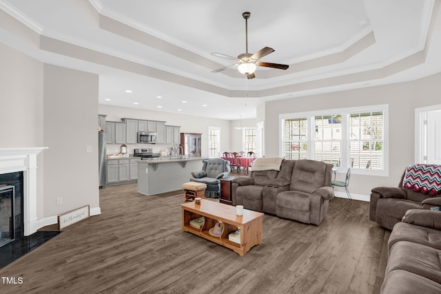 living room with a wealth of natural light, a tray ceiling, and a premium fireplace