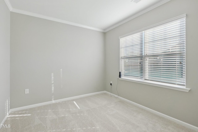 carpeted spare room featuring crown molding and baseboards