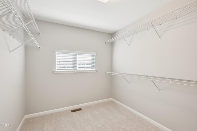 walk in closet featuring visible vents and carpet floors