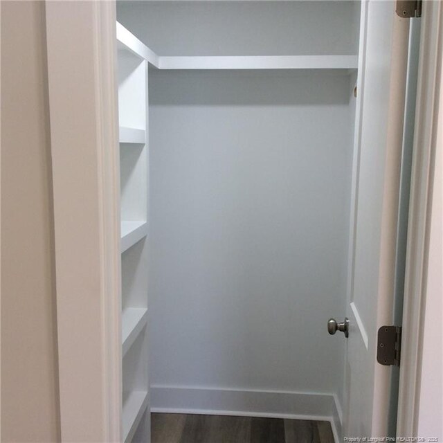 spacious closet with wood finished floors