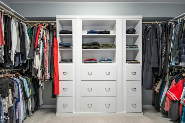 spacious closet with carpet floors