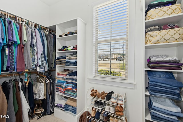 spacious closet featuring carpet flooring