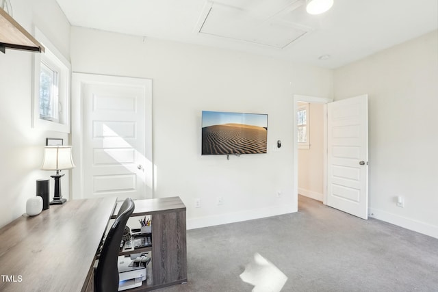 carpeted home office featuring a healthy amount of sunlight, attic access, and baseboards