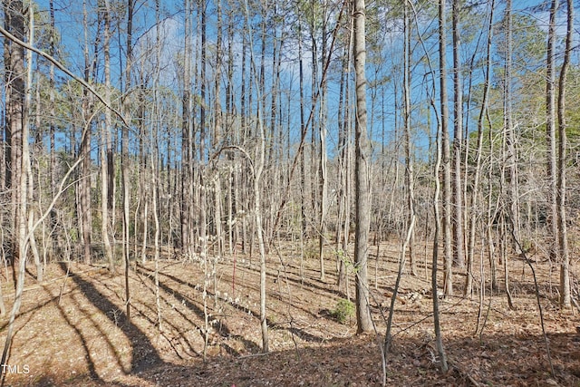 view of local wilderness featuring a forest view