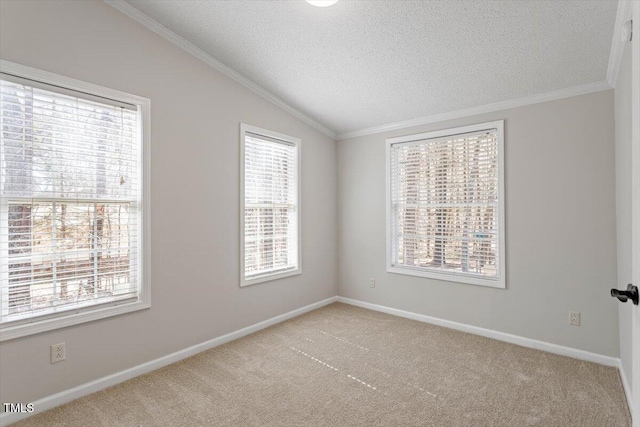 carpeted spare room featuring ornamental molding, a textured ceiling, baseboards, and vaulted ceiling