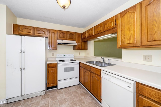 kitchen featuring brown cabinetry, white appliances, extractor fan, and a sink