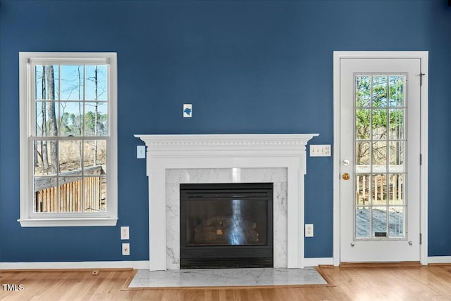 details featuring a high end fireplace, baseboards, and wood finished floors