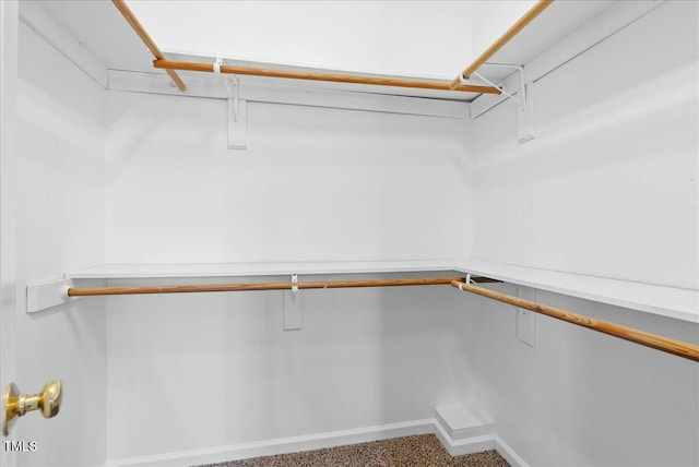 walk in closet featuring carpet