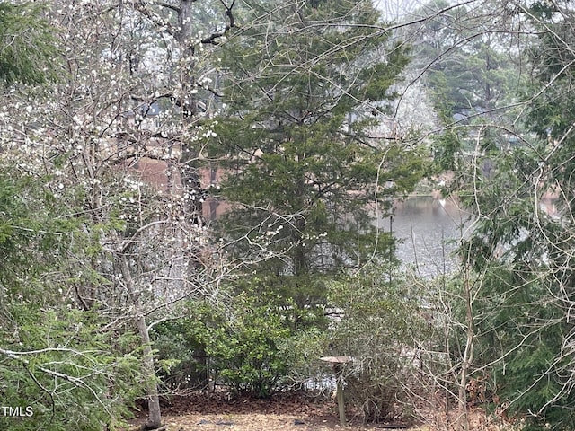 view of nature with a water view and a view of trees