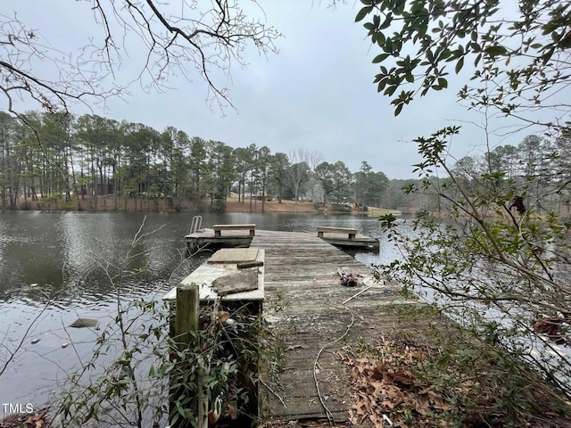 dock area featuring a water view