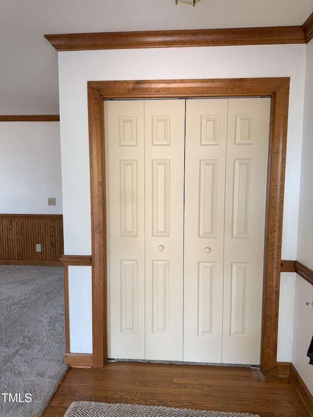 details with wood finished floors, wainscoting, carpet floors, and ornamental molding