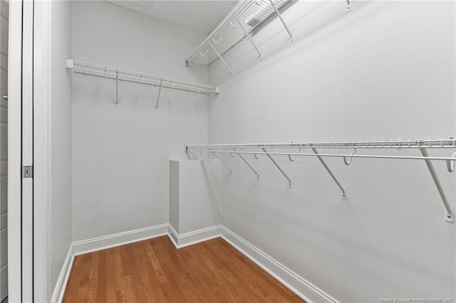 walk in closet with wood finished floors