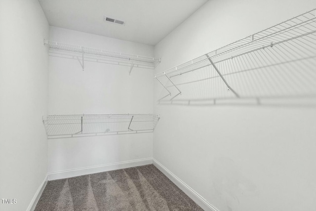 walk in closet featuring visible vents and carpet floors