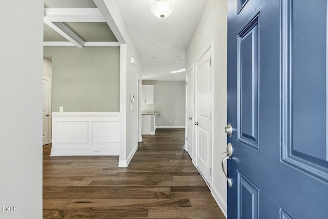 foyer entrance featuring a decorative wall, dark wood-style flooring, and wainscoting