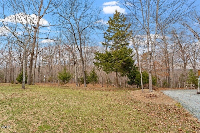 view of yard with gravel driveway