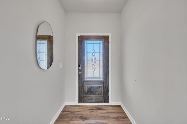 entrance foyer featuring wood finished floors, baseboards, and a wealth of natural light