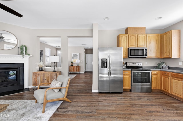 kitchen featuring appliances with stainless steel finishes, a glass covered fireplace, and dark wood-style flooring